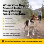 Educator ET-300 Black Mini E Collar for Dog Training with Remote - 1/2 Mile Range, Waterproof, 100 Blunt Stimulation Levels, Tone or Vibration Mode, Night Light Tracking for Small, Medium & Large Dogs - Image 3