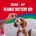 Milk-Bone Soft & Chewy Peanut Buttery Bites, 11.8 Oz. Bag - Image 6