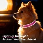 Personalized Reflective Dog Collar with Engraved ID Tag - Image 8