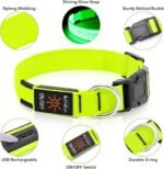 Illumifun LED Dog Collar, USB-C Rechargeable Light Up Collar Glow in Dark, Adjustable Pet Safety Lights for Night Walking Camping (Green, Large) - Image 3