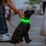 Illumifun LED Dog Collar, USB-C Rechargeable Light Up Collar Glow in Dark, Adjustable Pet Safety Lights for Night Walking Camping (Green, Large) - Image 5