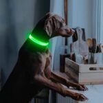 Illumifun LED Dog Collar, USB-C Rechargeable Light Up Collar Glow in Dark, Adjustable Pet Safety Lights for Night Walking Camping (Green, Large) - Image 6