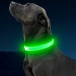Illumifun LED Dog Collar, USB-C Rechargeable Light Up Collar Glow in Dark, Adjustable Pet Safety Lights for Night Walking Camping (Green, Large) - Image 7