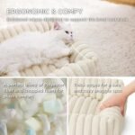 Bedsure Cute Dog Bed for Small Dogs & Cats 20x19x6inches Waterproof Dog Blankets for Small Dogs 25"x35" Cream - Image 3