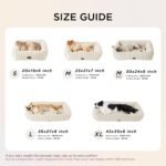 Bedsure Cute Dog Bed for Small Dogs & Cats 20x19x6inches Waterproof Dog Blankets for Small Dogs 25"x35" Cream - Image 5