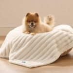 Bedsure Cute Dog Bed for Small Dogs & Cats 20x19x6inches Waterproof Dog Blankets for Small Dogs 25"x35" Cream - Image 7