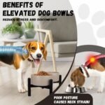 Raised Ceramic Dog Bowl Set with Stand, 3.5 Cups Elevated Dog Food Stand - Image 5