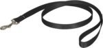 PetSafe Nylon Dog Leash - Strong, Durable, Traditional Style Leash with Easy to Use Bolt Snap - 3/4 in. x 4 ft., Black