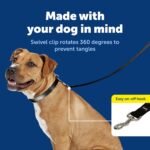 PetSafe Nylon Dog Leash - Strong, Durable, Traditional Style Leash with Easy to Use Bolt Snap - 3/4 in. x 4 ft., Black - Image 3