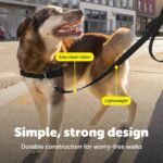 PetSafe Nylon Dog Leash - Strong, Durable, Traditional Style Leash with Easy to Use Bolt Snap - 3/4 in. x 4 ft., Black - Image 4