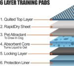 BV Puppy Pads Leak-Proof 100 Count 22"x 22" - Absorbent Pee Pads for Dogs with 6-Layer Design, Rapid Dry Sheet & Built-in Attractant - Dog Pad with Odor Control, Perfect for Puppies & Senior Dogs - Image 4