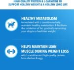 IAMS Proactive Health Healthy Weight Large Dry Dog Food, Chicken, 29.1 lb - Image 4