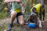 Ruffwear, Trail Runner Collapsible Dog Bowl, 4.2 Cups (1 L), Blue Pool - Image 5
