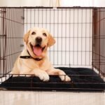 MABOZOO Chew Proof Indestructible Dog Beds for Aggressive Chewers,Durable Dog Crate Pad,Washable Tough Pet Mats for Kennel,Black,XL 28x41 in - Image 8