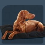 MABOZOO Chew Proof Indestructible Dog Beds for Aggressive Chewers,Durable Dog Crate Pad,Washable Tough Pet Mats for Kennel,Black,XL 28x41 in - Image 9