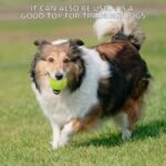 SHYUJAJIE Tennis Ball,20 Pack Practice Balls Bulk,Dog Balls with Mesh Bag - Image 8