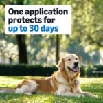 Amazon Basics Flea and Tick Topical Treatment for Medium Dogs (23-44 lbs), Fast Acting and Long Lasting, 3 Count, Packaging May Vary - Image 4
