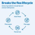 Amazon Basics Flea and Tick Topical Treatment for Medium Dogs (23-44 lbs), Fast Acting and Long Lasting, 3 Count, Packaging May Vary - Image 5