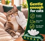 Petazy Pet Glove Wipes for Dogs & Cats - Paws, Ears & Butt Cleaning, 2x25pk - Image 5