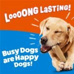 Purina Busy Bone Large Dog Chew Treats, Peanut Butter Flavor, 6 ct Pouch - Image 4