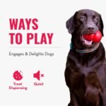 Kong - Rewards Ball - Ultra Durable Interactive Treat Dispensing Dog Toy - for Large Dogs - Image 5