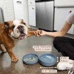 The Perfect Dish - Silicone Dog Bowl for Food & Water, 7.5"x2.25"- Charcoal - Image 3