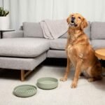 The Perfect Dish - Silicone Dog Bowl for Food & Water, 7.5"x2.25"- Charcoal - Image 4