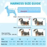 Lukovee Small Dog Harness and Leash Set, No Pull Soft Padded, 4ft Leash, XS - Image 4