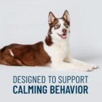 Nutramax Solliquin Calming Support Supplement for Dogs, Soft Chews, 75ct - Image 2