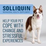 Nutramax Solliquin Calming Support Supplement for Dogs, Soft Chews, 75ct - Image 3