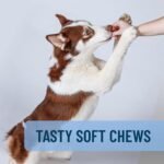 Nutramax Solliquin Calming Support Supplement for Dogs, Soft Chews, 75ct - Image 5