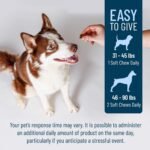 Nutramax Solliquin Calming Support Supplement for Dogs, Soft Chews, 75ct - Image 7
