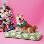 LE SURE Cute Aesthetic Dog Bed for Crate,Jacquard Thick Pet Pillow 35x22 - Image 5
