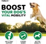 Hemp Hip and Joint Supplement for Dogs - 170 Chews - Glucosamine for Dogs - Image 6