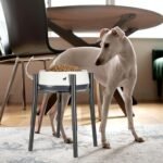 PROERR Raised Single Dog Bowl Stand for Medium Large,Adjustable 12-16" Tall - Image 5