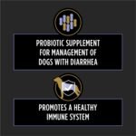 Purina Pro Plan Vet Supplements FortiFlora Dog Probiotic Tablets, 90 ct - Image 3