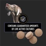 Purina Pro Plan Vet Supplements FortiFlora Dog Probiotic Tablets, 90 ct - Image 4