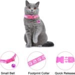 Puppy Collar and Leash Set 3Pcs Puppy Litter Collar Leashes Set Dog Leash and Collar Soft Nylon Adjustable Dog Collar for Small Dogs Walking Training (Black Orange Blue) - Image 5