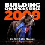 Bully Max Dry Dog Food for Adults & Puppies - High Protein & Fat for Muscle & Weight Gain - High Performance Dog Food Supplements - Small & Large Breed Dogs (535 Calories Per Cup), Chicken, 15lb Bag - Image 6