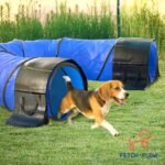 FetchFlow Dog Agility Training Equipment – Complete Backyard Agility Course Set w/Adjustable A-Frame Ladder, Weave Poles, Cones, Jump Hoop, Tunnel & Sandbags – Outdoor Dog Playground Kit - Image 7