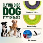 3 Pcs Flying Discs, Interactive Flyer Toys, Feedable Lightweight Catch and Fetch Toys for Small Medium Large Dogs, Floats in Water & Safe on Teeth, 9.05 Inch - Image 3