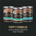 Purina Pro Plan Sensitive Skin & Stomach Puppy Dog Food, Salmon, 24 lb Bag - Image 9