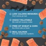 Cloud Star Tricky Trainers Dog Treats Soft & Chewy, Salmon, 14 oz Bag - Image 3