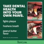 TropiClean Fresh Breath Enticers Peanut Butter & Honey Teeth Gel for Dogs 2 oz. - Image 3
