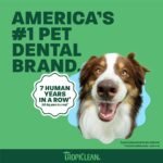 TropiClean Fresh Breath Enticers Peanut Butter & Honey Teeth Gel for Dogs 2 oz. - Image 6