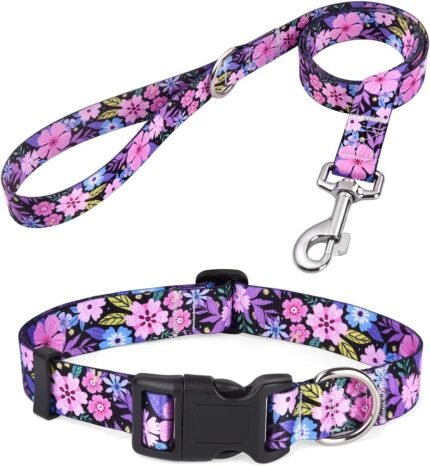 Mihqy Dog Collar and Leash Set, for Small Dogs, Pink Floral Set,XS