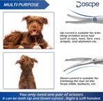 Curved Dog Grooming Scissors 6.69 inches Round Tips Pet Grooming Shears for Dog Cat on Face Paw Hair Trimming Right Left Handed - Image 4