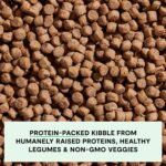 Open Farm Grain Free Dry Dog Food, Grass-Fed Beef Kibble, 4lb Bag - Image 3