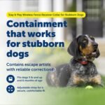 PetSafe Stubborn Dog Stay & Play Wireless Fence Collar - Image 2