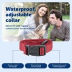 PetSafe Stubborn Dog Stay & Play Wireless Fence Collar - Image 5
